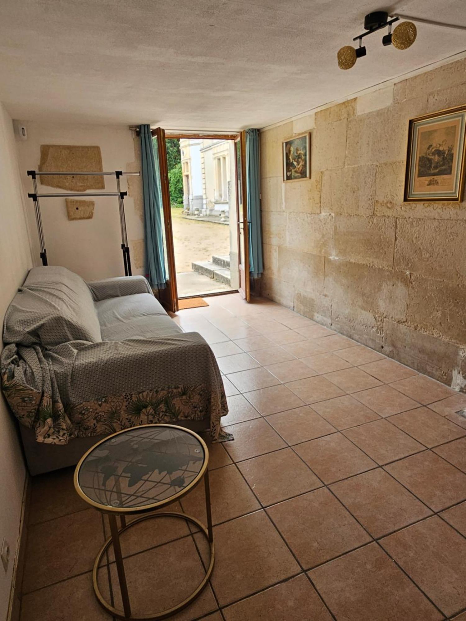 Chateau De La Court D'Aron Saint-Cyr-en-Talmondais エクステリア 写真