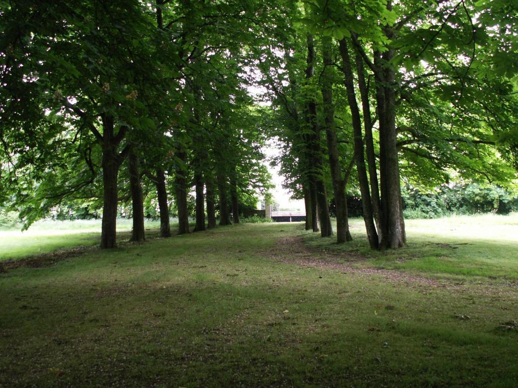 Chateau De La Court D'Aron Saint-Cyr-en-Talmondais エクステリア 写真